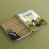 Leader Rural Moderne