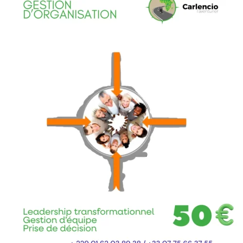 Leadership & gestion d’organisation