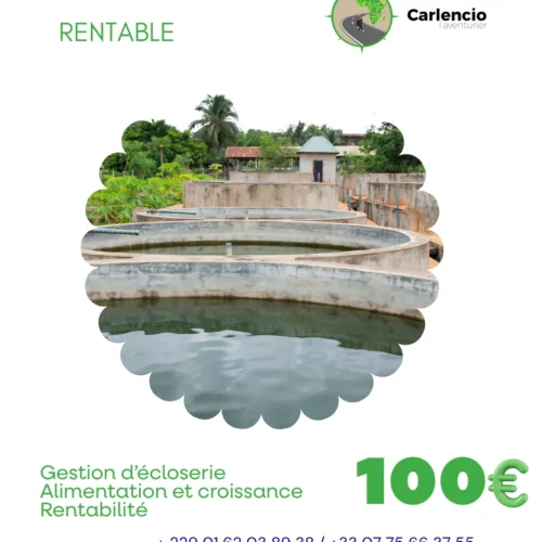 Pisciculture rentable